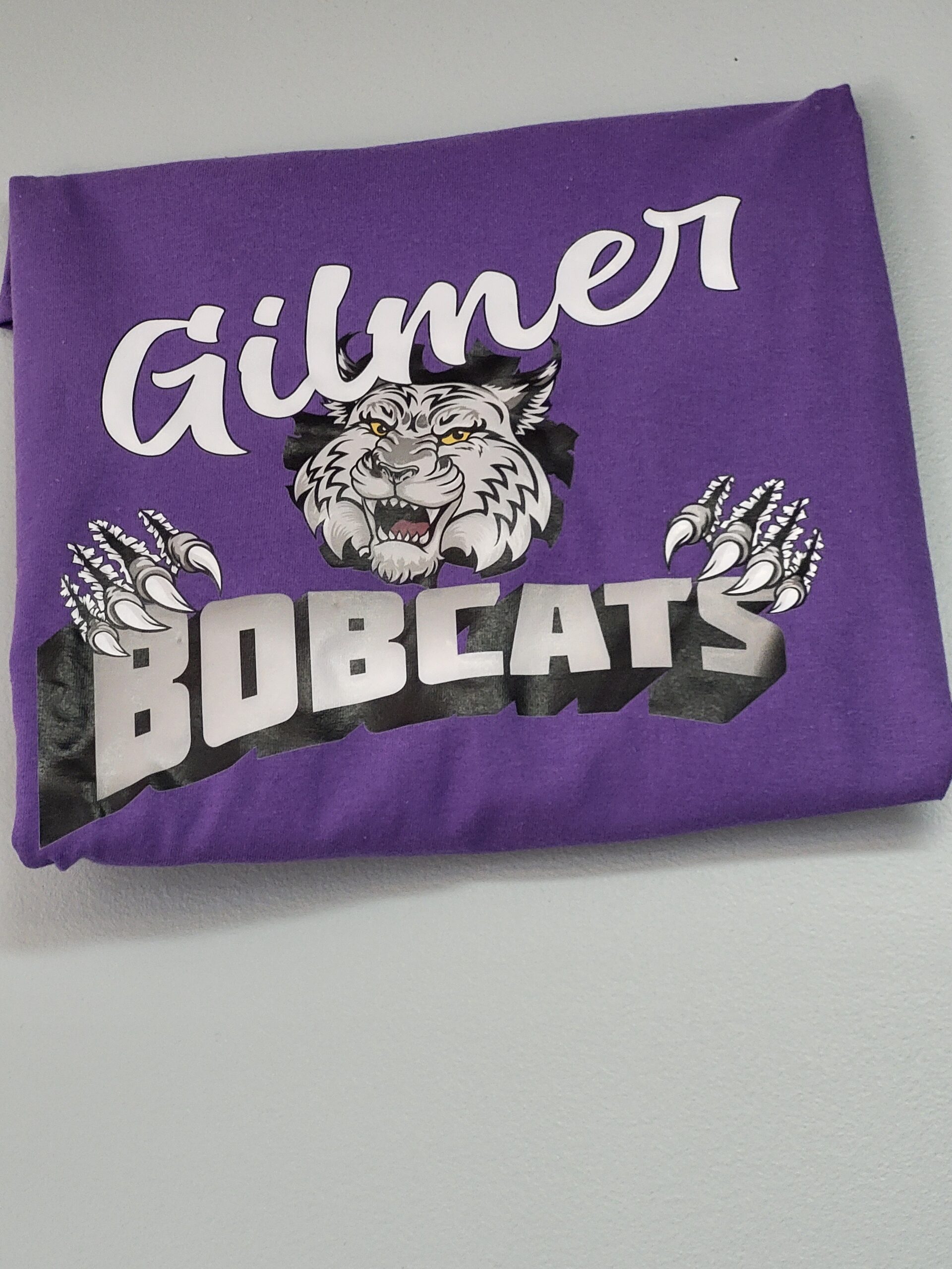 Talking Threads Embroidery & More | Ellijay Georgia - 20250402 134908 1 scaled